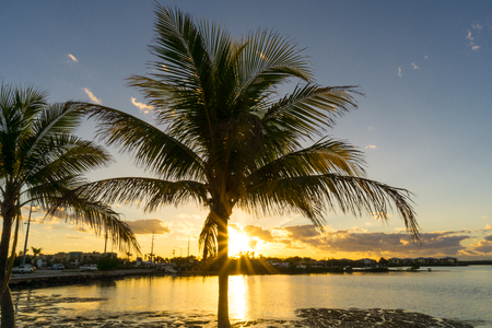USA, Florida, Fantastic sunset behind palm tree reflecting in ocean at village on floriday keysの写真素材