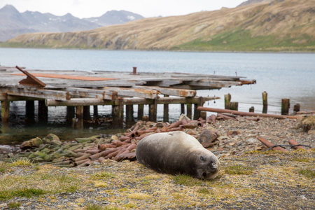 an old fisher village in the mountains of antarctica with old housesの写真素材