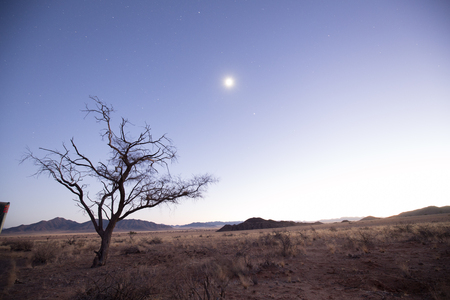 a landscape in africa by night close to sunset dawn sunriseの写真素材