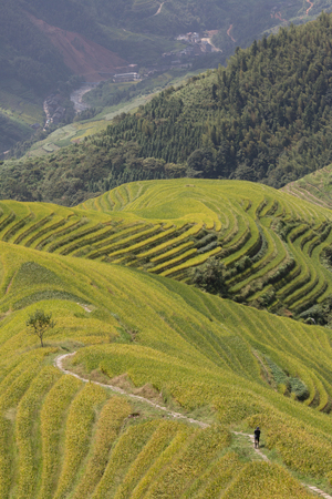 a landscape with river trees clouds mountains and fieldの写真素材