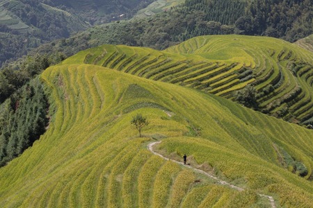 a landscape with river trees clouds mountains and fieldの写真素材