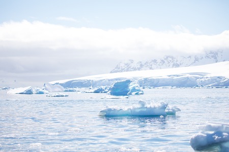 icecaps in the Antarctica with iceberg in the ocean swimming around and melting in the sea