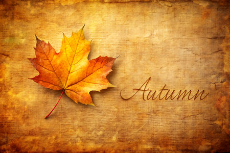 Autumn background with maple leaf on grunge paper. Autumn background. Generative AIの写真素材