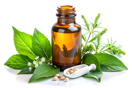 Natural Aromatherapy Essentials: Fresh Mint & Seeds with Pure Essential Oil on Minimalist White Background.の写真素材