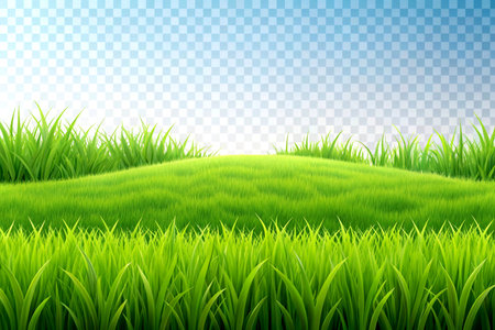 Lush Green Grass Field Isolated on Transparent Background for Design and Compositing.の写真素材
