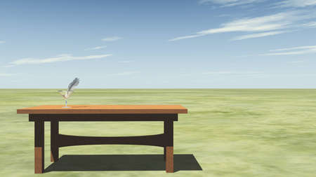 Feather on a tableの写真素材