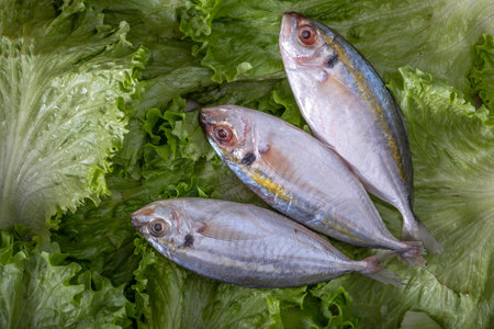 Fresh Raw Fish on Crisp Lettuce Leaf Close-Up in 4K Resolutionの写真素材