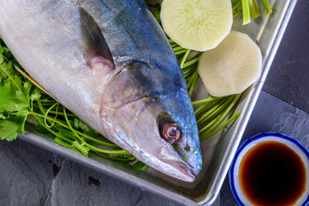 Fresh raw tuna fish with ingredients for cooking on a stone background.