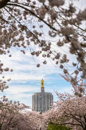 Statue of Liberty and cherry blossom in Washington DC.の写真素材