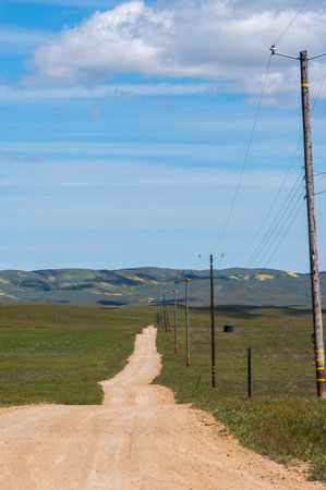 Dirt road in the steppes of Kazakhstan, Central Asiaの写真素材