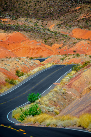 Road in the Painted Desert, Arizona, United States of Americaの写真素材