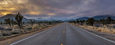 Panoramic view of the road through Joshua Tree National Park in Californiaの写真素材
