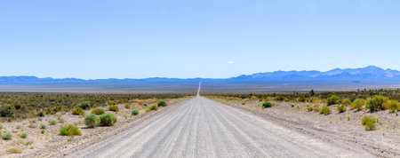 Panoramic view of a dirt road through the Mojave Desertの写真素材