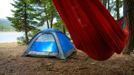 Camping tent in the forest. Camping in the woods.の写真素材