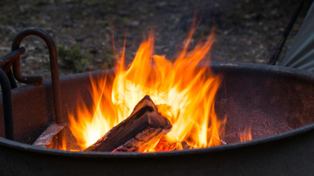 Camping bonfire with firewood in the forest, close up