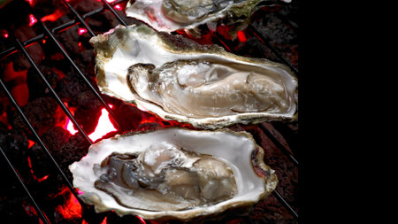 Oysters on a barbecue grill. Oysters on the grillの写真素材