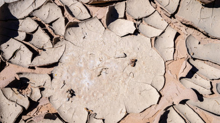 Dry cracked earth background. Cracked soil texture. Abstract background.