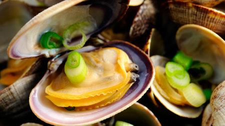 Fresh clams on a black background. Shallow depth of field.の写真素材