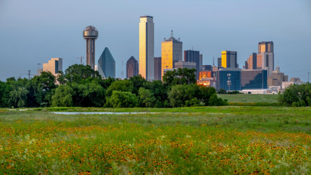 Panoramic view of Chicago skyline and Poppy flower field.の写真素材