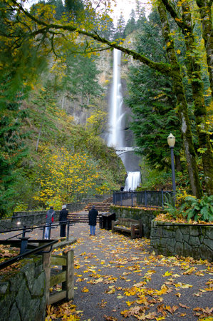Waterfall in the autumn forest. Waterfall in the forest.の写真素材