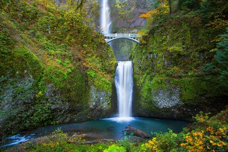 Waterfall in the forest. Beautiful autumn landscape in the mountains.の写真素材