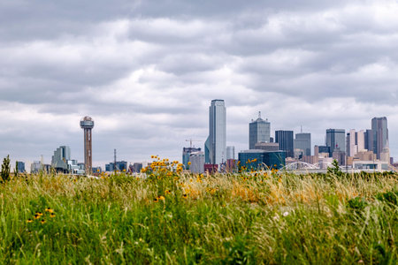 Beautiful Blue Skyline and Buildings in Dallas Texasの写真素材