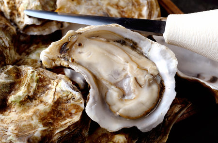 Oysters in shell with knife on black background, closeup