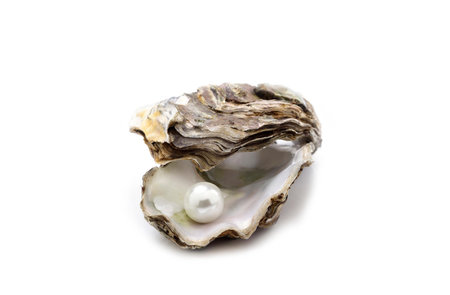 Oyster with pearl isolated on white background.の写真素材