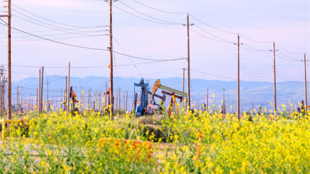 Oil pump in a field of yellow flowers. Oil industry. Production of oil.の写真素材