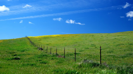 Beautiful spring landscape with green meadow, blue sky and cloudsの写真素材