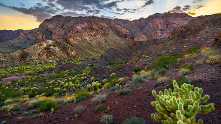 Sunset over the Valley of Fire State Park, Nevada, USAの写真素材