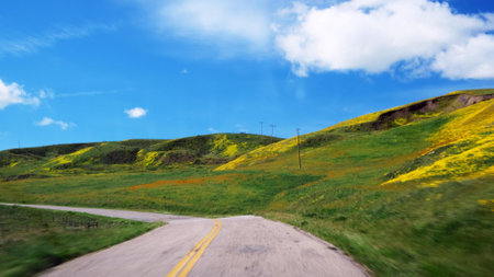 Road on a hillside with yellow flowers and blue sky with cloudsの写真素材