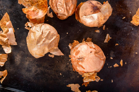 Avocado Seeds Close-Up: High-Quality 4K Image of Nature's Treasure