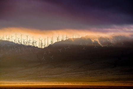 Wind turbines farm at sunset in California, United States of America.
