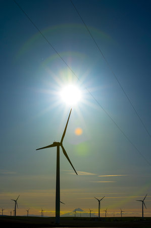 An image of windturbines in a field at sunset.