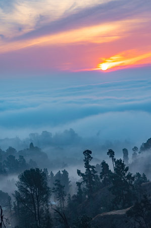 Sunrise at Doi Inthanon National Park, Chiang Mai, Thailandの写真素材