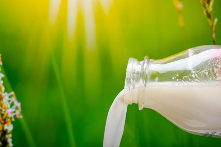 Milk bottle on green grass background with sun light. Natural dairy product.の写真素材