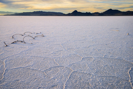 Salt lake landscape at sunset, Salar de Uyuni, Boliviaの写真素材