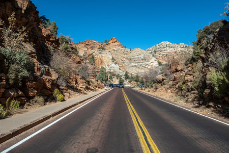 Road in Zion National Park, Utah, United States of America.の写真素材