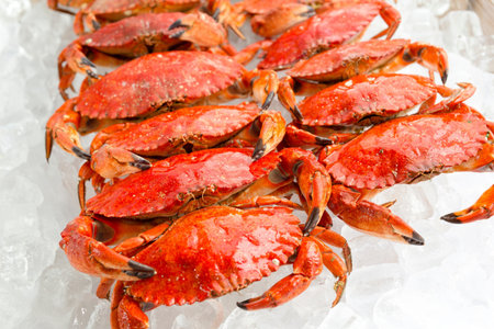 Red crabs on ice in a seafood market, closeup of photoの写真素材