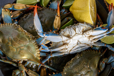 Blue crabs with lemon and lime closeup. Seafood background.の写真素材