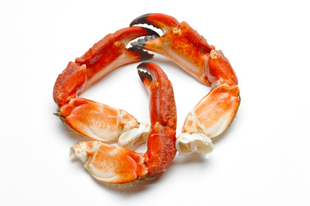 Crab claws on a white background.の写真素材