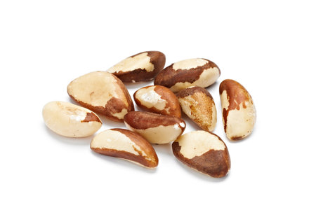 Brazil nuts isolated on white background.の写真素材
