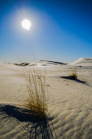 White Sands National Monument is a field of white sand dunes composed of gypsum crystals.
