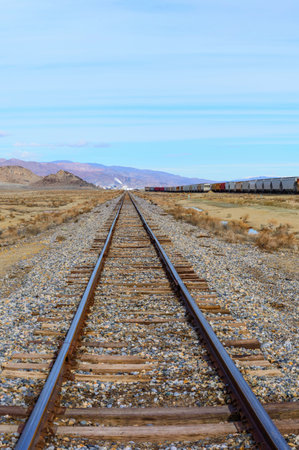 Railroad tracks in Death Valley National Park, California, USA.