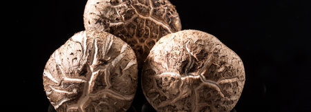 mushrooms on a black background, close-up, macro