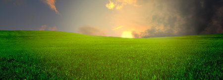 Green grass field and blue sky with clouds. Panoramic background.