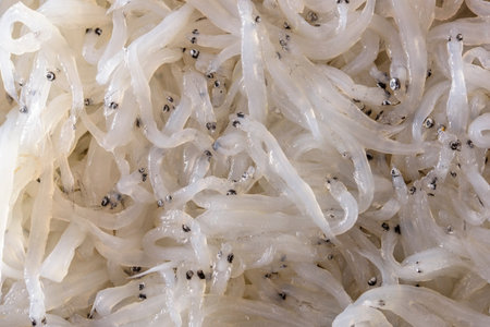 Raw vermicelli as a background. Close-up.