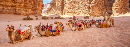 Camel caravan in Wadi Rum desert in Jordan, Middle Eastの写真素材