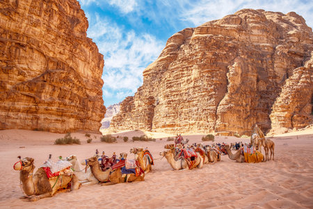 Caravan of camels in Wadi Rum desert, Jordan.の写真素材